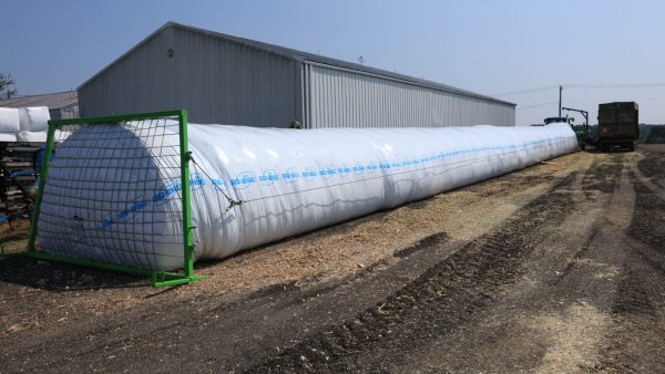 Full Ag-bag in Field- plastics page Ag Bag Genuine Plastic full feeder bags